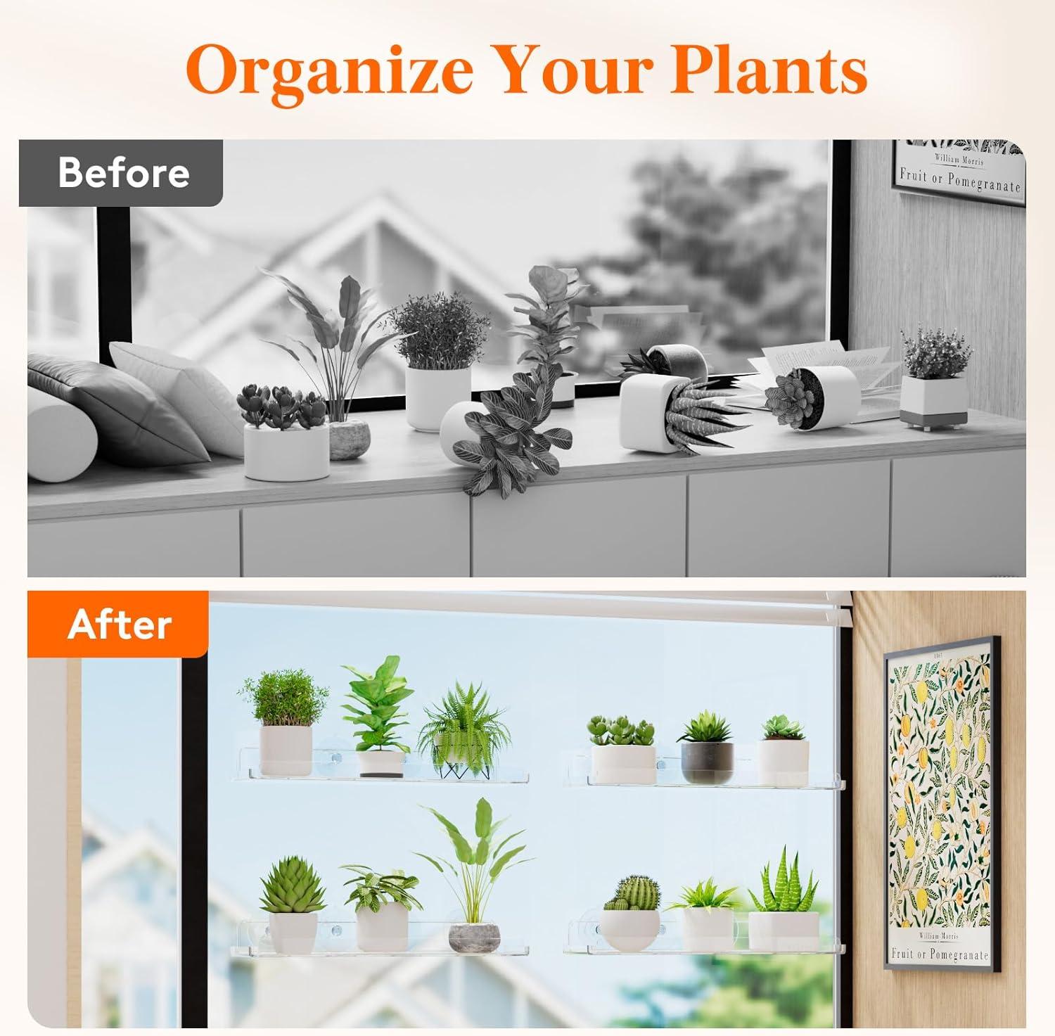image:imageLifewit Window Plant Floating Shelves 146 x 36 inch 2 Pack Acrylic Suction Cup Shelf Window Sill Extender for Indoor Succulent Plants Micro Greens Seed Starter Pots Herb Planters4