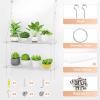 Lifewit 3-Tier Window Plant Shelves 15 inch, Acrylic Adjustable Hanging Floating Shelf, Window Sill Extender for Indoor Succulent Plants, Micro Greens, Seed Starter Pots, Herb Planters(1)