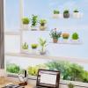 Lifewit Window Plant Floating Shelves 14.6 x 3.6 inch, 2 Pack Acrylic Suction Cup Shelf, Window Sill Extender for Indoor Succulent Plants, Micro Greens, Seed Starter Pots, Herb Planters(3)