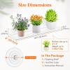 Lifewit Window Plant Floating Shelves 14.6 x 3.6 inch, 2 Pack Acrylic Suction Cup Shelf, Window Sill Extender for Indoor Succulent Plants, Micro Greens, Seed Starter Pots, Herb Planters(3)