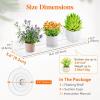 Lifewit Window Plant Floating Shelves 14.6 x 3.6 inch, 2 Pack Acrylic Suction Cup Shelf, Window Sill Extender for Indoor Succulent Plants, Micro Greens, Seed Starter Pots, Herb Planters(2)