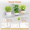 Lifewit Window Plant Floating Shelves 14.6 x 3.6 inch, 2 Pack Acrylic Suction Cup Shelf, Window Sill Extender for Indoor Succulent Plants, Micro Greens, Seed Starter Pots, Herb Planters(4)
