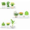 Lifewit Window Plant Floating Shelves 14.6 x 3.6 inch, 2 Pack Acrylic Suction Cup Shelf, Window Sill Extender for Indoor Succulent Plants, Micro Greens, Seed Starter Pots, Herb Planters(3)