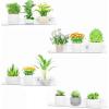 Lifewit Window Plant Floating Shelves 14.6 x 3.6 inch, 2 Pack Acrylic Suction Cup Shelf, Window Sill Extender for Indoor Succulent Plants, Micro Greens, Seed Starter Pots, Herb Planters(4)