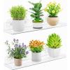 Lifewit Window Plant Floating Shelves 14.6 x 3.6 inch, 2 Pack Acrylic Suction Cup Shelf, Window Sill Extender for Indoor Succulent Plants, Micro Greens, Seed Starter Pots, Herb Planters(2)