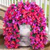 Lifewit Artificial Bougainvillea Flowers, 2 PCS Plastic Long Trailing Vines Fake Flowers for Outdoor Indoor Garden Porch Patio Balcony Decor, UV Resistant, Hot Pink(Purple & Hot Pink)