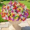Lifewit Artificial Flowers for Outdoors, 24 Bundles Plastic Fake Flowers Daisy for Home Garden Decor, Faux Plants for Spring Summer Porch, Window Box, Vase Decoration(6 Mix Color)(6 Mix Color)